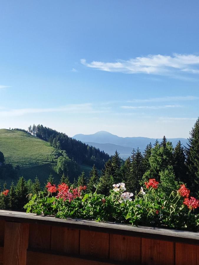 Almchalet Schuster Diex Kültér fotó