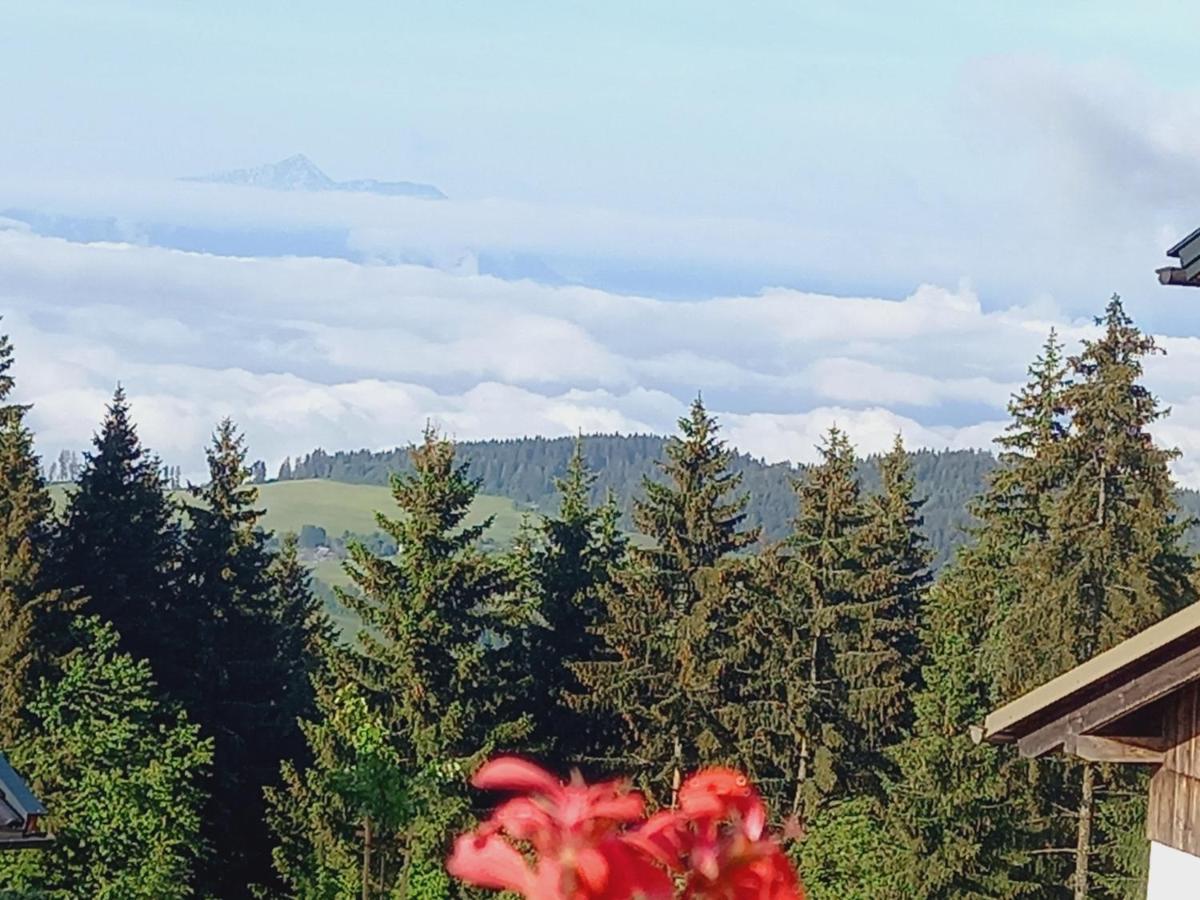 Almchalet Schuster Diex Kültér fotó